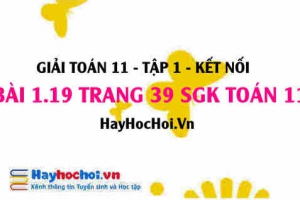 Giải bài 1.19 trang 39 Toán 11 tập 1 SGK Kết nối tri thức